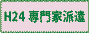 ���Ɣh�����ƃp���t���b�g